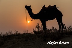 rajasthan